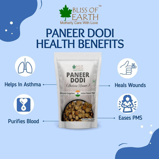 Bliss of Earth Paneer Doda (Indian Rennet) Paneer Phool for Diabetes, Withania Coagulans Ayurveda Herb Good for Health 200GM