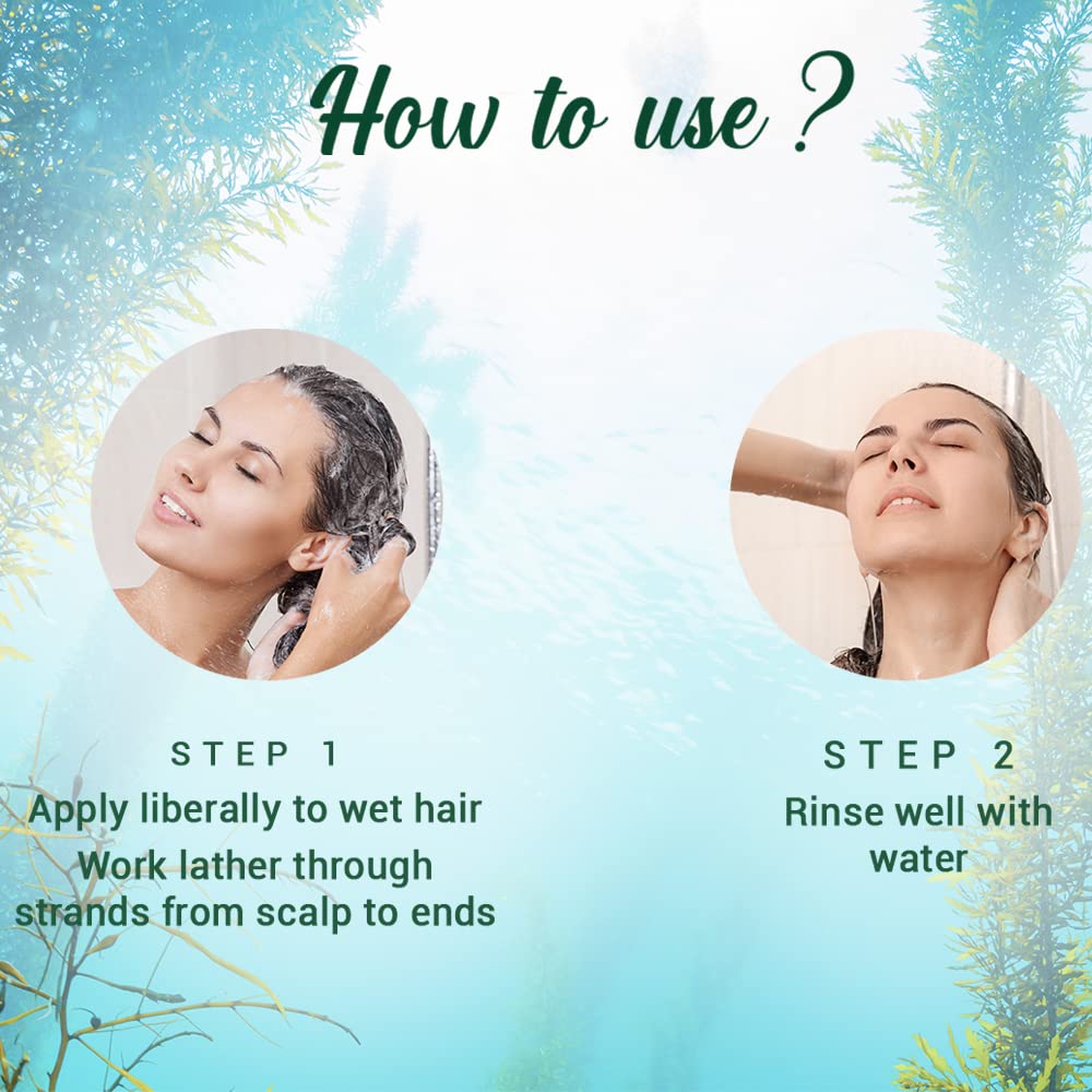 Biotique Ocean Kelp Anti Hairfall Shampoo | Intensive Hair Growth Therapy| Anti Hairfall Shampoo that Maintains Shine |100% Botanical Extracts | Suitable for All Hair Types |190ml