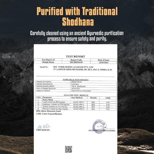 Pure Himalayan Shilajit Resin – Natural Energy & Stamina Booster for Men & Women | Ayurvedic Herbal Supplement | High-Altitude Source | 20g Resin (1)