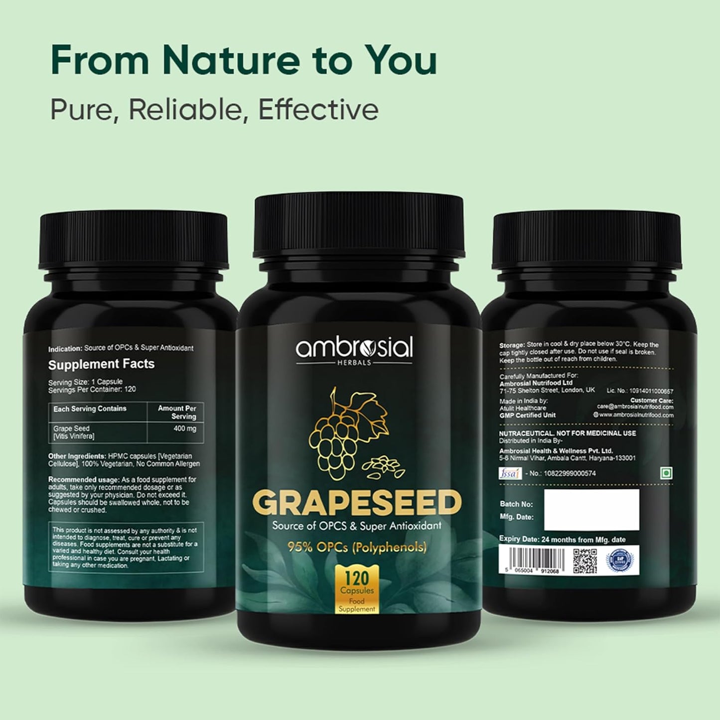 Ambrosial Grape Seed Extract Capsules | 95% OPCs Polyphenols | High Strength Grape Seed Supplement | Strong Antioxidant | Pack of 1-120 Vegan Capsules