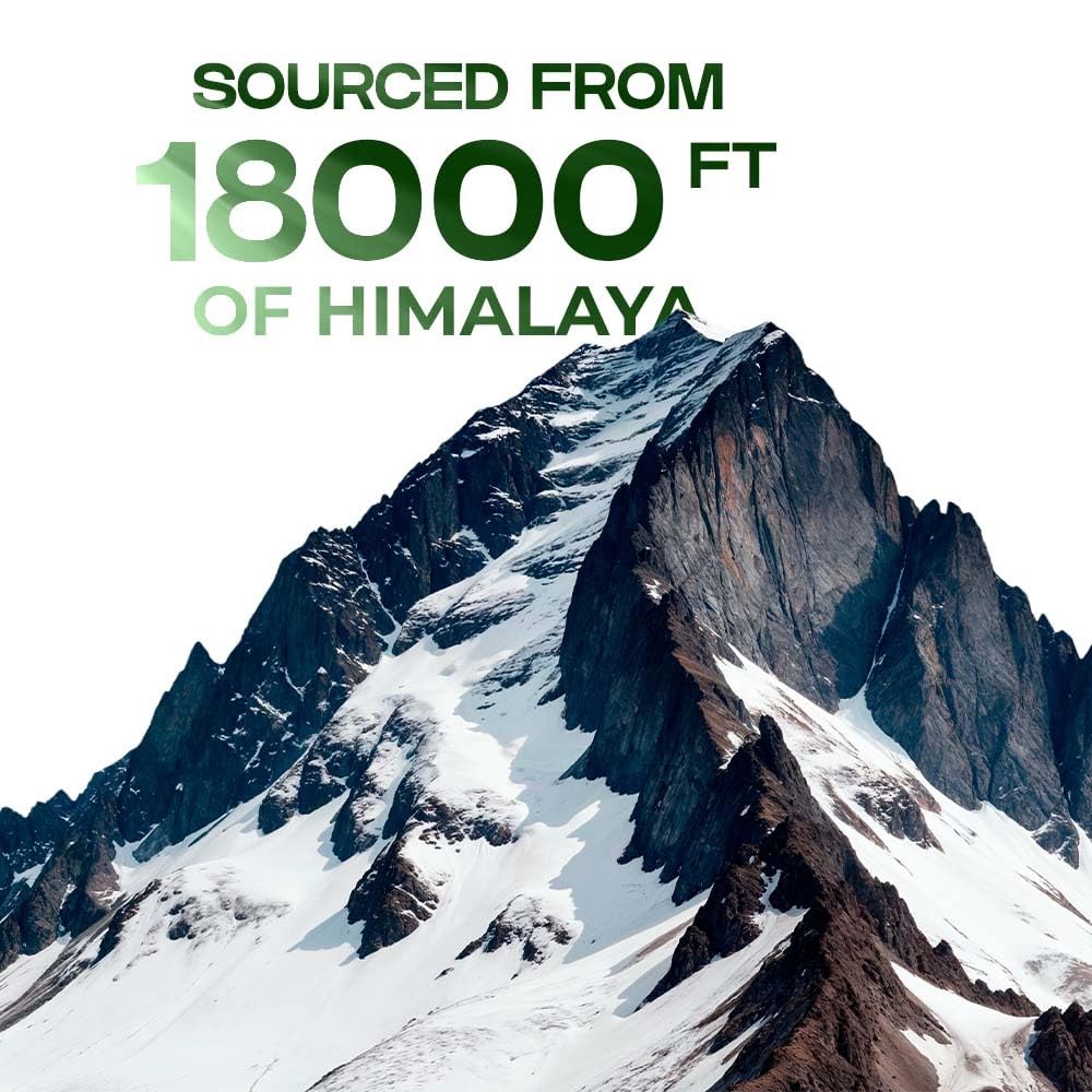Pure Himalayan Shilajit Resin – Natural Energy & Stamina Booster for Men & Women | Ayurvedic Herbal Supplement | High-Altitude Source | 20g Resin (1)