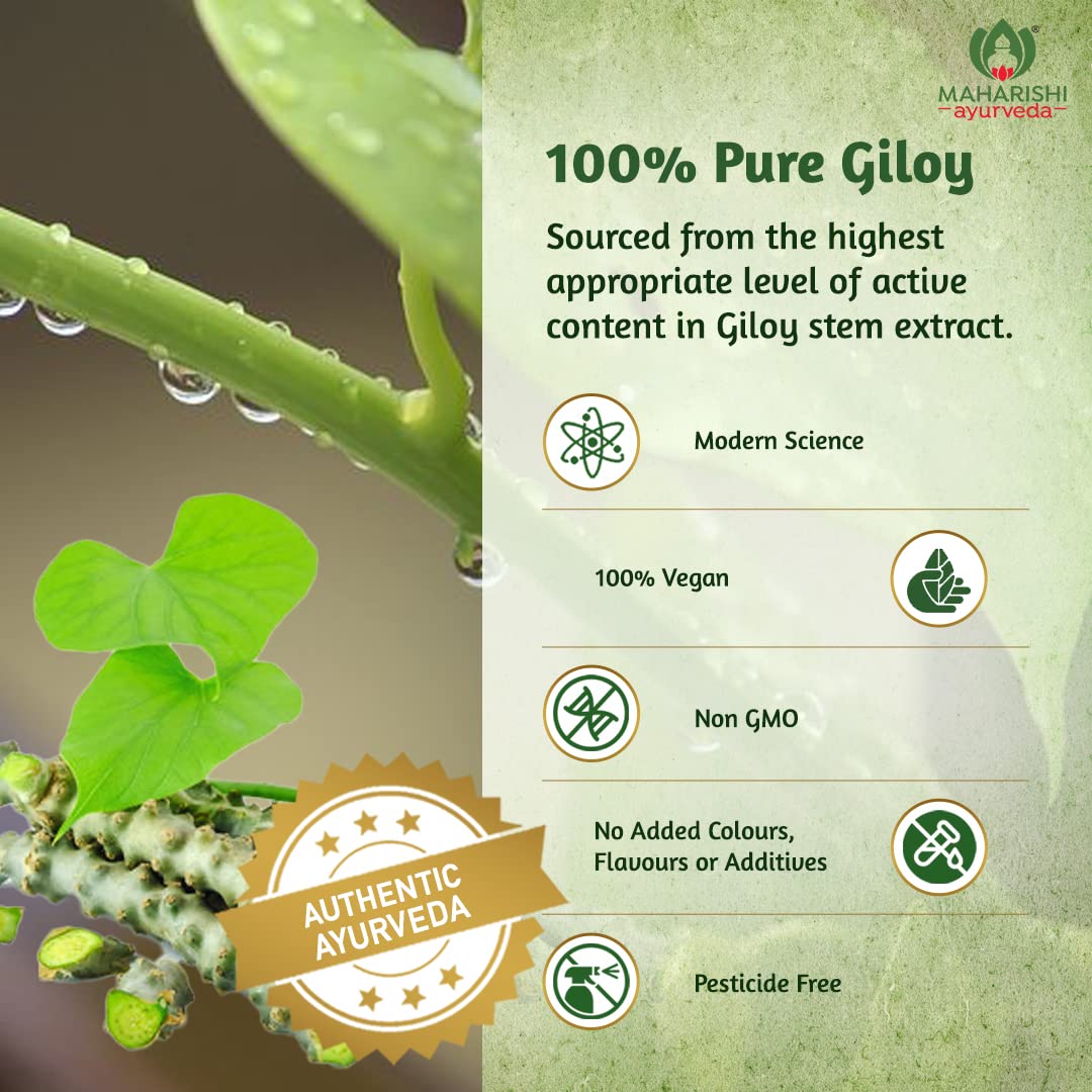 Maharishi Ayurveda Giloy Ghan Vati - 100% Natural Immunity Boosting Tablets | Enhances Strength & Stamina | Fights Fatigue | Detoxifies The Body, 60 Tablets