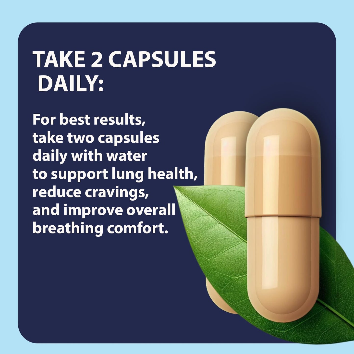 NicoShield | Herbal solution to Help Quit Smoking Naturally | Helps Reduce Craving To Smoke | Ayurvedic Herbal Supplement | 60 Veg Capsules (Pack of 1)