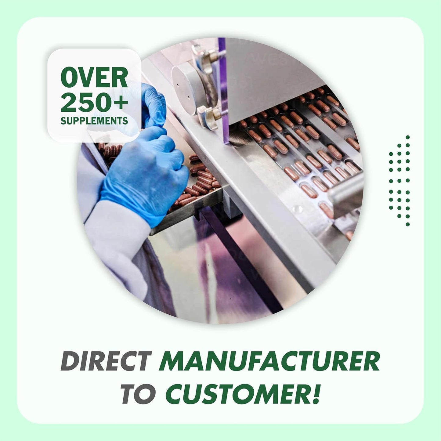 Green Tea 500 mg Leaf Extract 60 Veg Capsules, Boosts Metabolism, Helps in Fat Loss