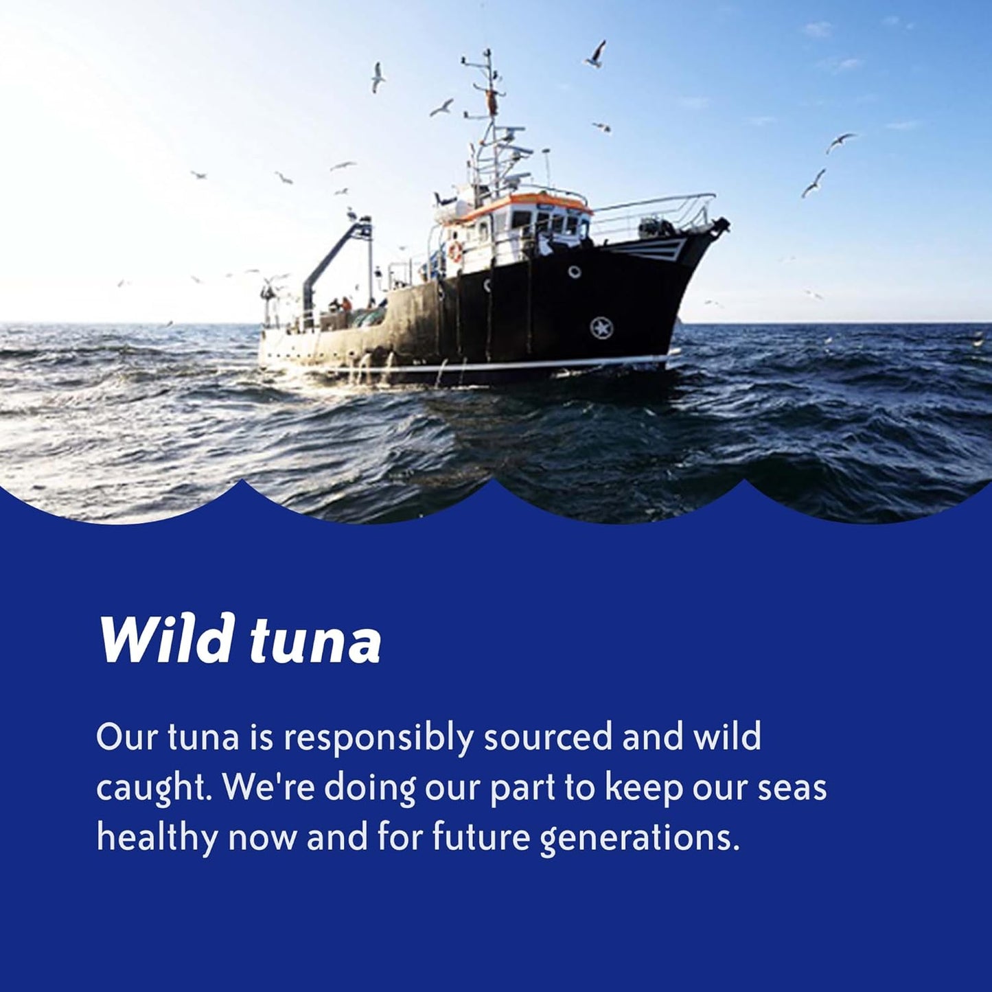 Chicken of the Sea Chunk Light Tuna in Water, 5 oz. Can (Pack of 1), Wild Caught Canned Tuna