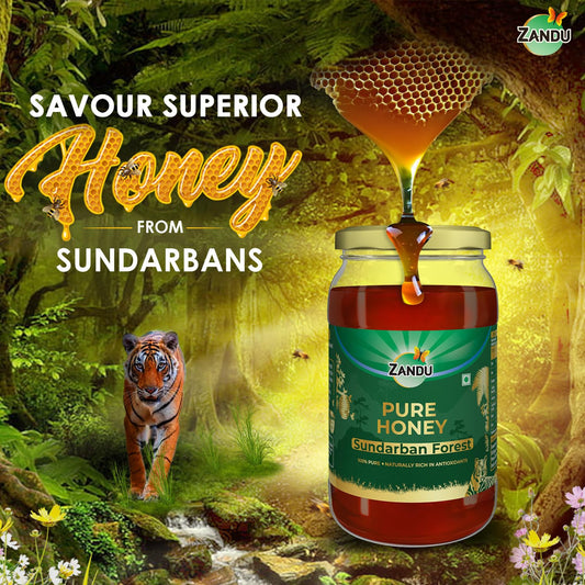 Zandu Sundarban Forest Honey I 100% Pure I Signature Taste & Fragrence Sourced From Dense Mangrove Forest I Rich in Pollent Count I Naturally Rich in Antioxidants, Glass Jar, 500g