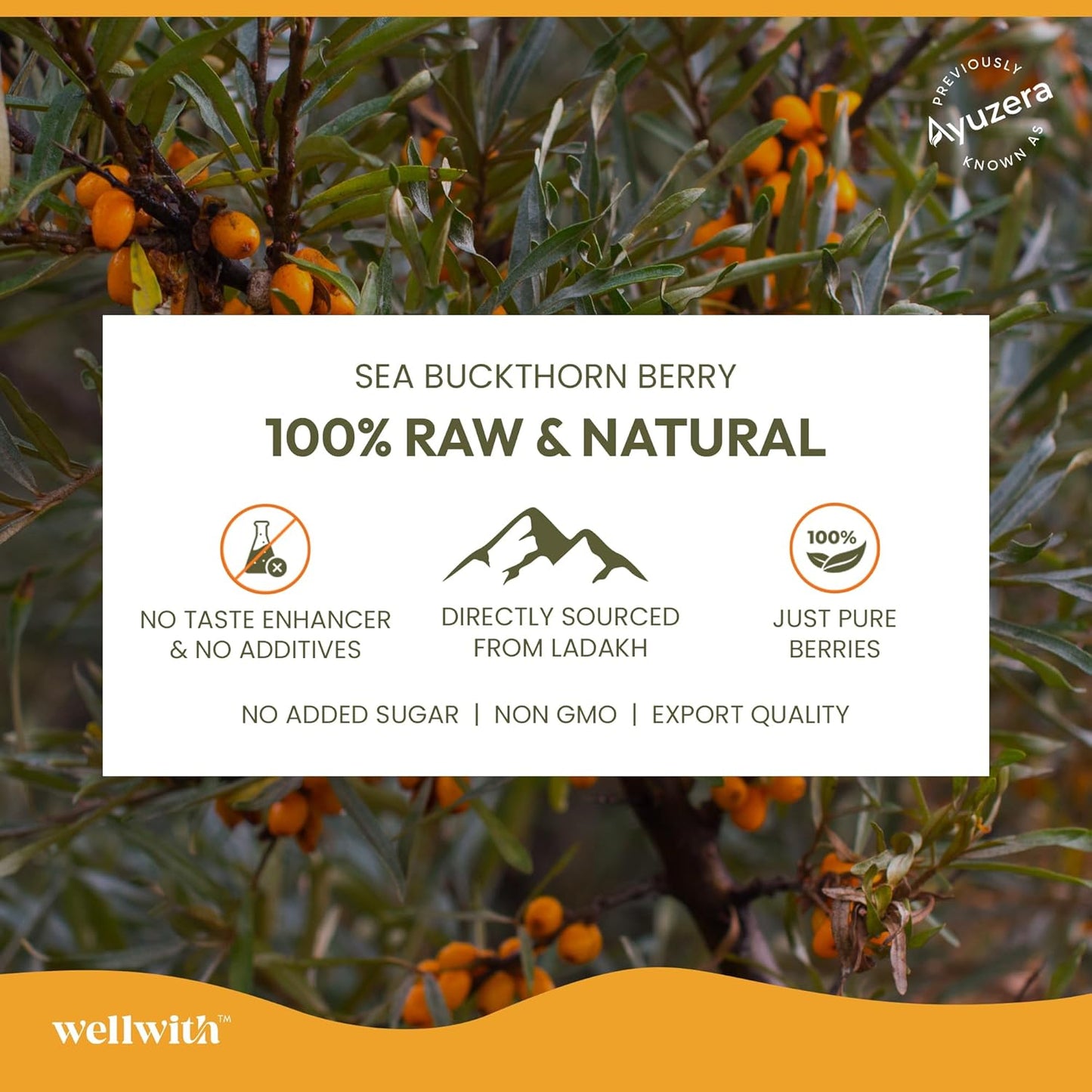Wellwith by Ayuzera Himalayan Sea Buckthorn Pulp 300ml | Cold Pressed Seabuckthorn Juice | Rich in Vitamin C, Omega 3 6 7 9 & Antioxidants | Supports Immunity, Skin & Gut Health
