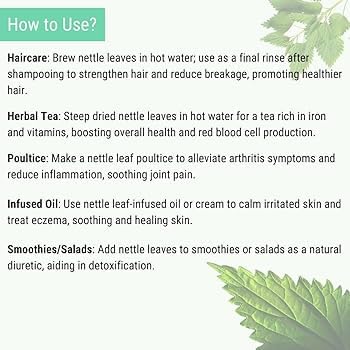 Namo Organics Nettle Leaf Tea - 150g Stinging Health Supporting Herb, Collect From Uttrakhand Belt | Best Herbal Tea