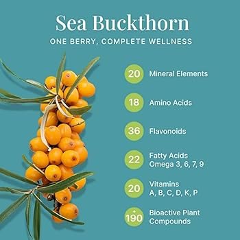 Namo Organics - 500g Himalayan Sea buckthorn Dry Berry â€“ Natural, Sun-Dried, Rich in Omega 3,6,7 and 9, & Vitamin C, E | Dried Seabuckthorn Berries | No Added Sugar or Preservatives