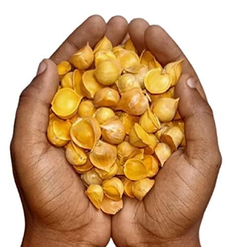 Namo Organics - 1kg Kashmiri Garlic Lehsun | 100% Natural Organic Single Clove Snow Mountain From Kashmir (500gmX2)