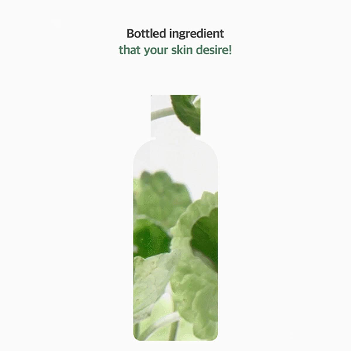 mixsoon Centella Asiatica Toner 150â€¯ml â€“ Hydrating & Soothing Korean Face Toner for Sensitive, Dry or Irritated Skin â€“ Lightweight Skin Essence & Moisture Booster
