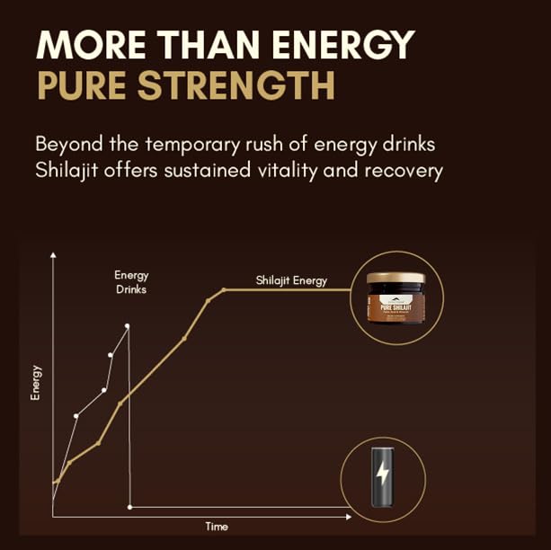 Rasayanam Pure Himalayan Shilajit Resin | Highly Purified with 75% Fulvic Acid & 80+ Trace Minerals | Supports Energy, Stamina, Strength & Recovery | 20 gm