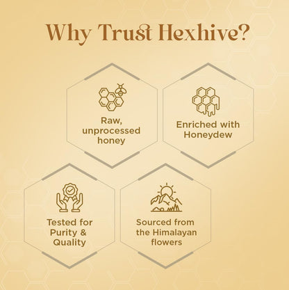 Hexhive Black Forest Honey | Dark Honeydew Honey from Forest Trees | Rich in Antioxidants & Minerals | Low Glycemic Index | Immunity Booster | No Added Sugar | Healthy Sweetener | 500g
