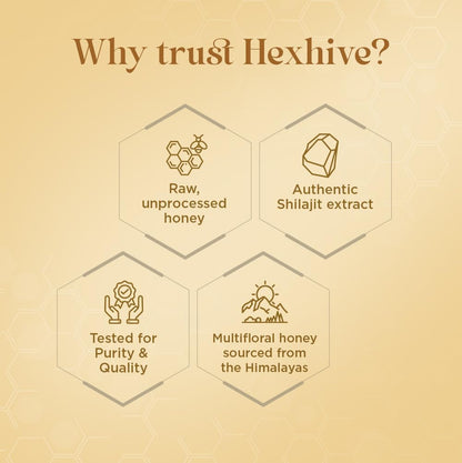 Hexhive Shilajit Honey | Raw Forest Honey | Himalayan Multifloral Honey Infused with Shilajit Extract | Energy & Vitality Boost | Immunity & Mental Clarity Support | No Added Sugar | 250g