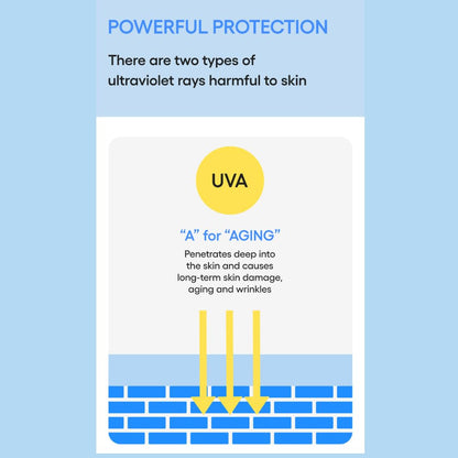 LANEIGE Hydro UV Defense Sunscreen EX SPF 50+ | Broad Spectrum | Moisture Based Sunscreen | Light & Non-Greasy | No White Cast | Soothing Hydration | Suitable for All Skin | For Men & Women