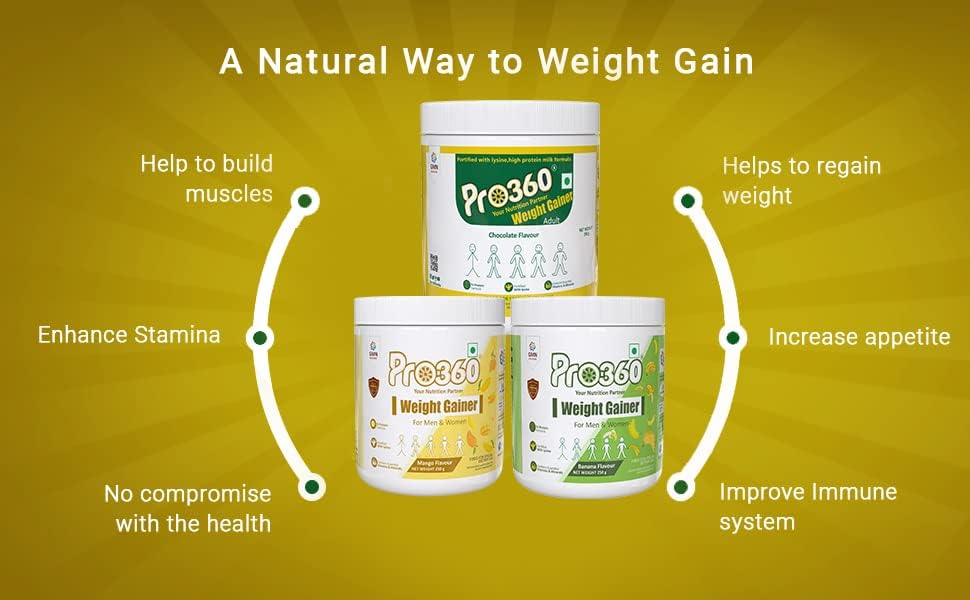 Pro360 Weight Gainer High Protein Powder - Calorie Rich Complete Nutritional Supplement - Triple Protein Source with 25 Vital Nutrients for Men & Women - 250G (Mango)