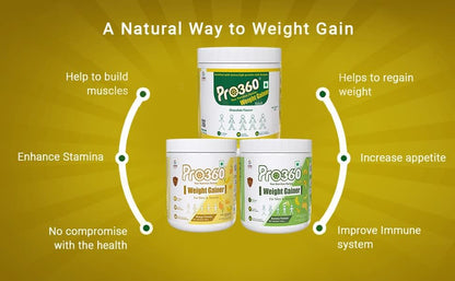 Pro360 Weight Gainer High Protein Powder - Calorie Rich Complete Nutritional Supplement - Triple Protein Source with 25 Vital Nutrients for Men & Women - 250G (Mango)
