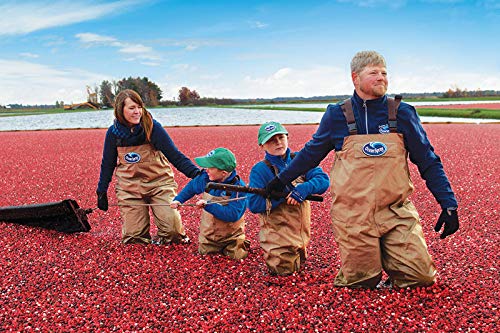 RiTrue - Dried Sliced Cranberry - 250 Gm Jar - Vegan, Non-GMO, Gluten Free | USA Cranberries Dry Fruits