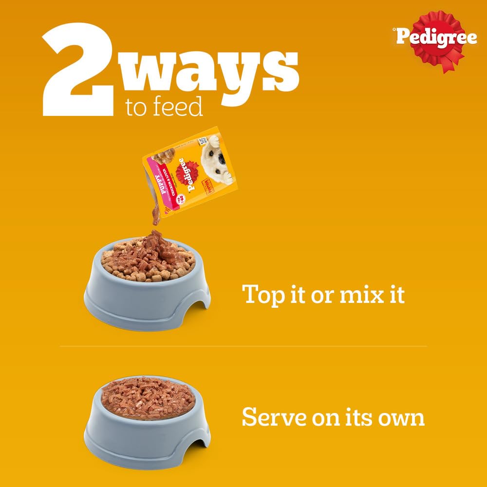 Pedigree Puppy Wet Dog Food, Chicken Chunks in Gravy, 70 g (Pack of 15), Complete & Balanced Meal for Puppies