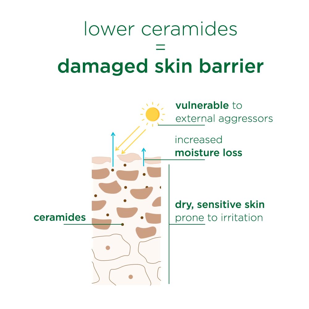 Simple Barrier Care Soothing Water CrÃ¨me 40g | Supports Skin Barrier Health | For Normal To Oily, Sensitive Skin