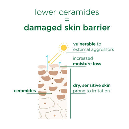 Simple Barrier Care Soothing Water CrÃ¨me 40g | Supports Skin Barrier Health | For Normal To Oily, Sensitive Skin