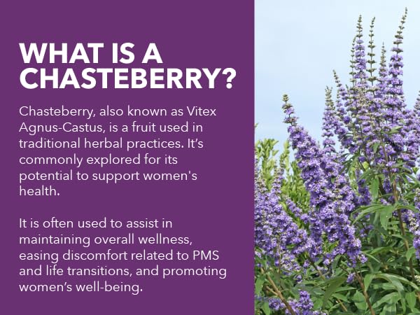 Namo Organics - Chaste Berry tea - 200gm | Vitex Agnus-Castus |Monk's Pepper | Premium Chasteberry Tea Leaves | Herbal Tea for Women health