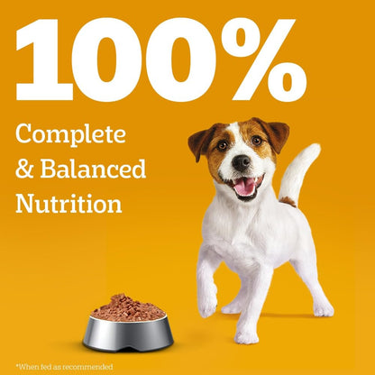 Pedigree Puppy Wet Dog Food, Chicken Chunks in Gravy, 70 g (Pack of 15), Complete & Balanced Meal for Puppies