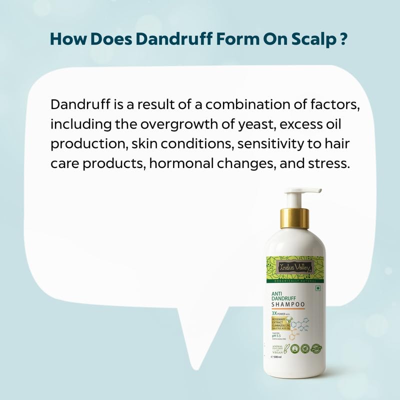 INDUS VALLEY Anti-Dandruff Shampoo with Rosemarry Oil For Hair Fall Defense - 500 ml