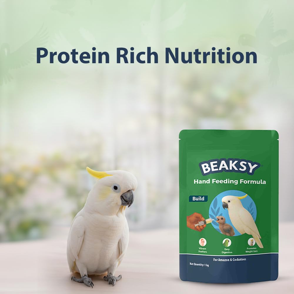 BEAKSY Build Hand Feeding Formula for Baby Birds | for Amazons & Cockatoos | Promotes Weight Gain, Vibrant Feathers & Easy Digestion | Balanced Nutrition (250gm)