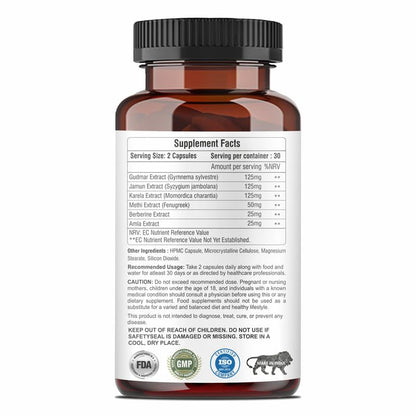 Diabetic Support Capsules | Blood Sugar & Wellness Support | 100% Vegetarian | 60 Capsules