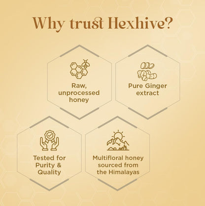 Hexhive Ginger Honey Cubes | Pure Honey with Real Ginger Extract | No Added Sugar | Immunity Boost | Travel-Friendly Cubes for Tea, Coffee & Detox Drinks | Wellness Snack | 300g