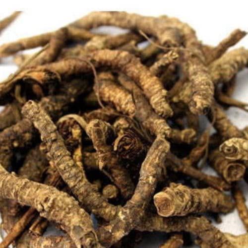Namo Organics - Pure Kutki root for Liver - 100g - Katuki - Picrorhiza Kurroa | Preservative-free, Chemcial- free
