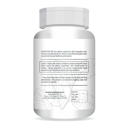 Vokin Biotech Herbal Insulux Gymnema Sylvestre for Diabetes Control 750mg (60 Capsules), 200 grams