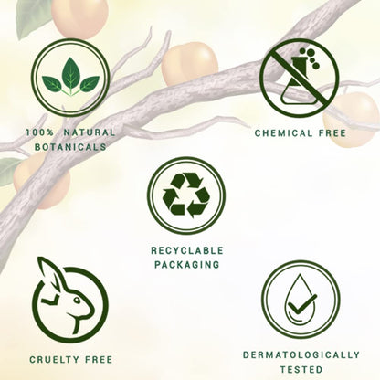 Biotique Bio Apricot Refreshing Body Wash | Keeps Skin Fresh and Clean | Brightens Skin and Reducing Dark Spots | 100% Botanical Extracts | Suitable for All Skin Types | 800ml