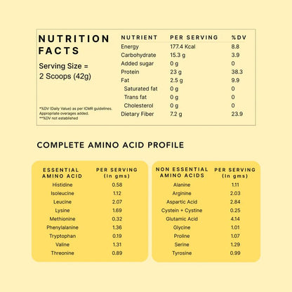 Earthful Honest Plant Protein | 24g Protein/Serving & 4.9g BCCAs | For Weight Management, Energy, Muscle Support & Recovery | Made with Pea & Brown Rice | Indonesian Cocoa - 504g