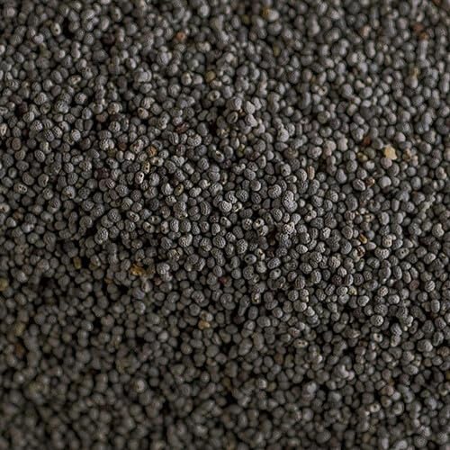 Namo Organics - Black Poppy Seeds - 100 Gram - 100% Natural Khus Khus For Cooking & Baking