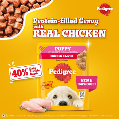 Pedigree Puppy Wet Dog Food, Chicken Chunks in Gravy, 70 g (Pack of 15), Complete & Balanced Meal for Puppies