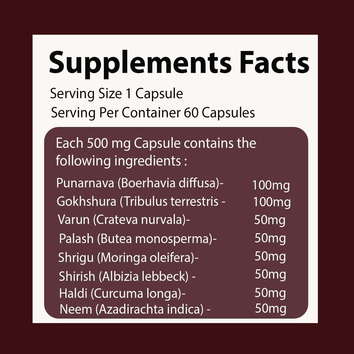 UroEase for Kidney & Uric Acid Support | Ayurvedic Supplement for Urinary Tract & Detox | Herbal Kidney Cleanse | 60 Veg Capsules