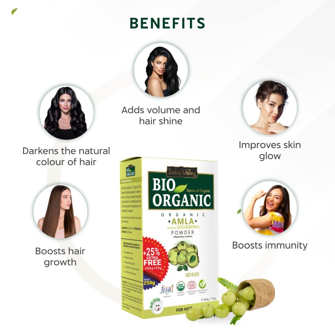 INDUS VALLEY 100% Bio Organic Amla Powder (Indian Gooseberry Powder) Phyllanthus emblica | Natural & Fresh For Healthy Hair - 200 gm