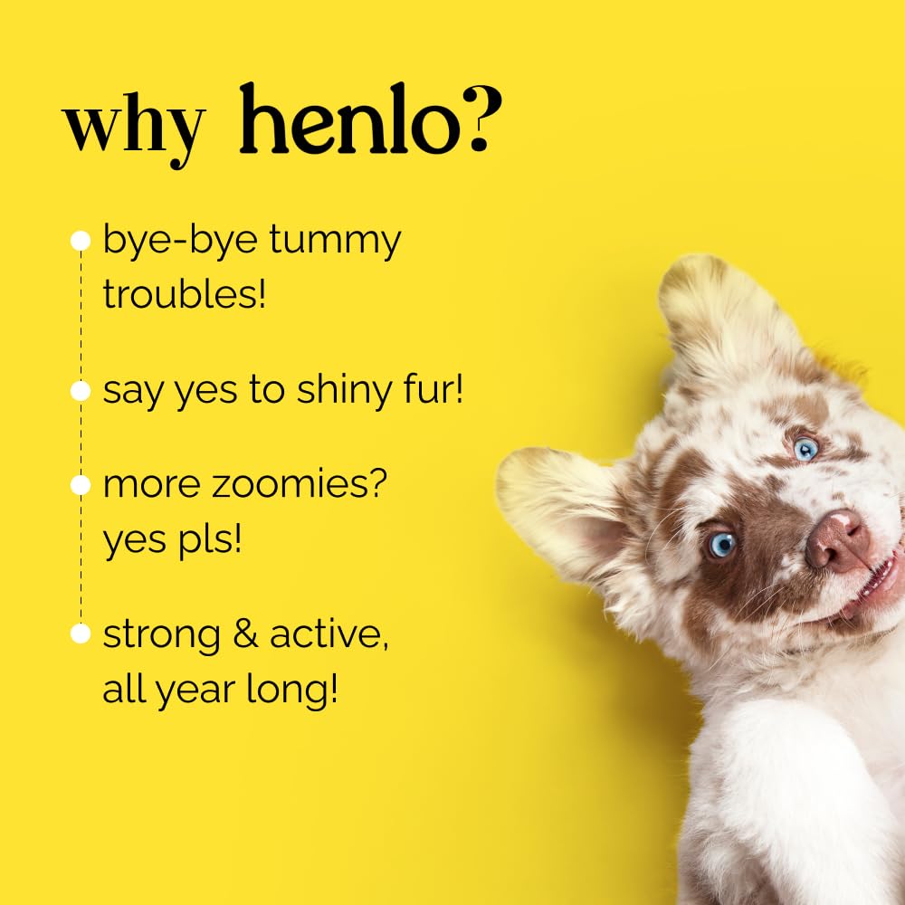 Henlo Baked Dry Dog Food for Adult Dogs | 800G | 100% Human-Grade Ingredients | High-Protein Nutritionally Balanced Healthy Dog Food | Chicken Flavor | No Fillers or Additives