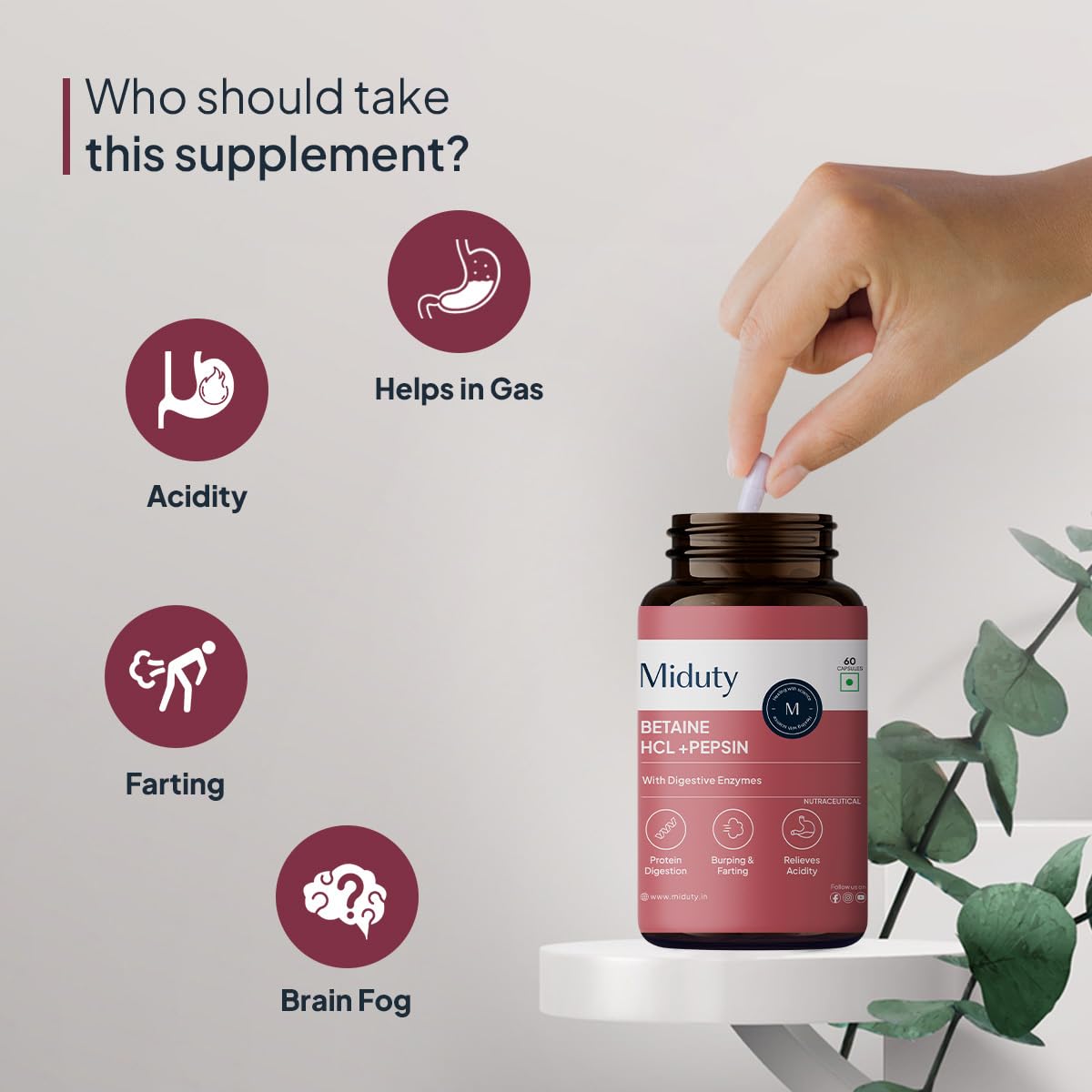 Miduty by Palak Notes Betaine HCL + Pepsin, Betaine HCL Pepsin Capsules Pepsin for Digestion Acidity & Indigestion Betaine HCL Supplement - 60 Capsules