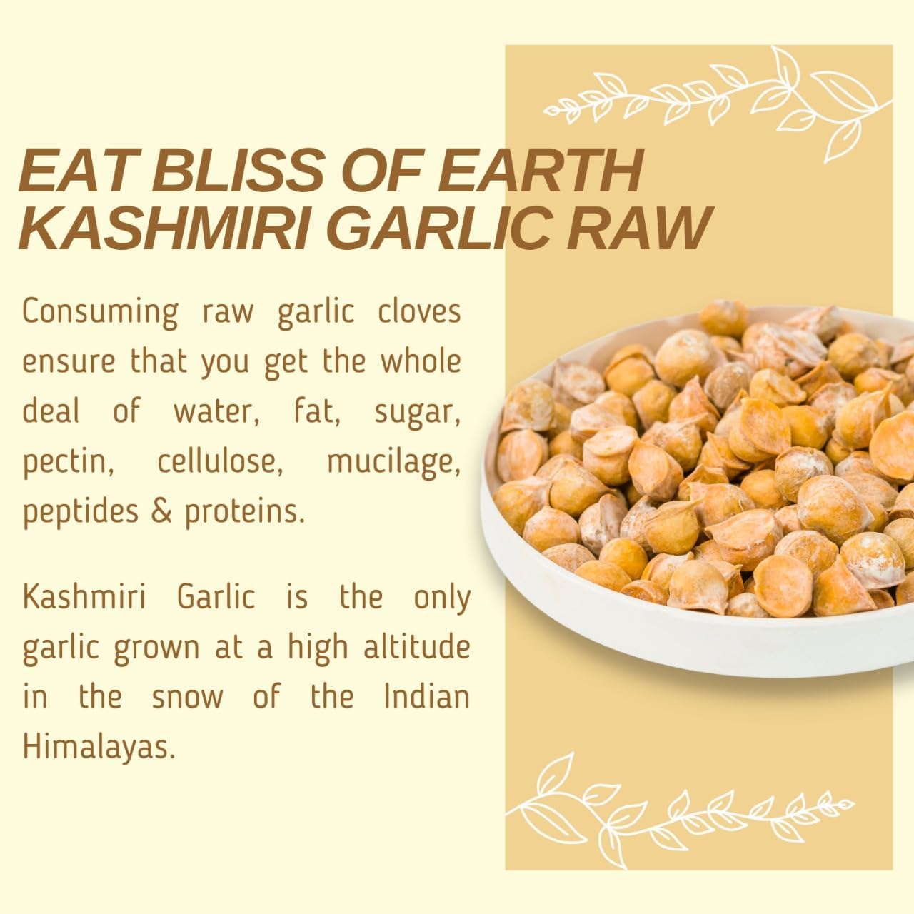 Bliss of Earth Naturally Organic Kashmiri Garlic From Indian Himalayas, Single Clove, Kashmiri Lahsun Ek Pothi, Snow Mountain Garlic- (200 gm)