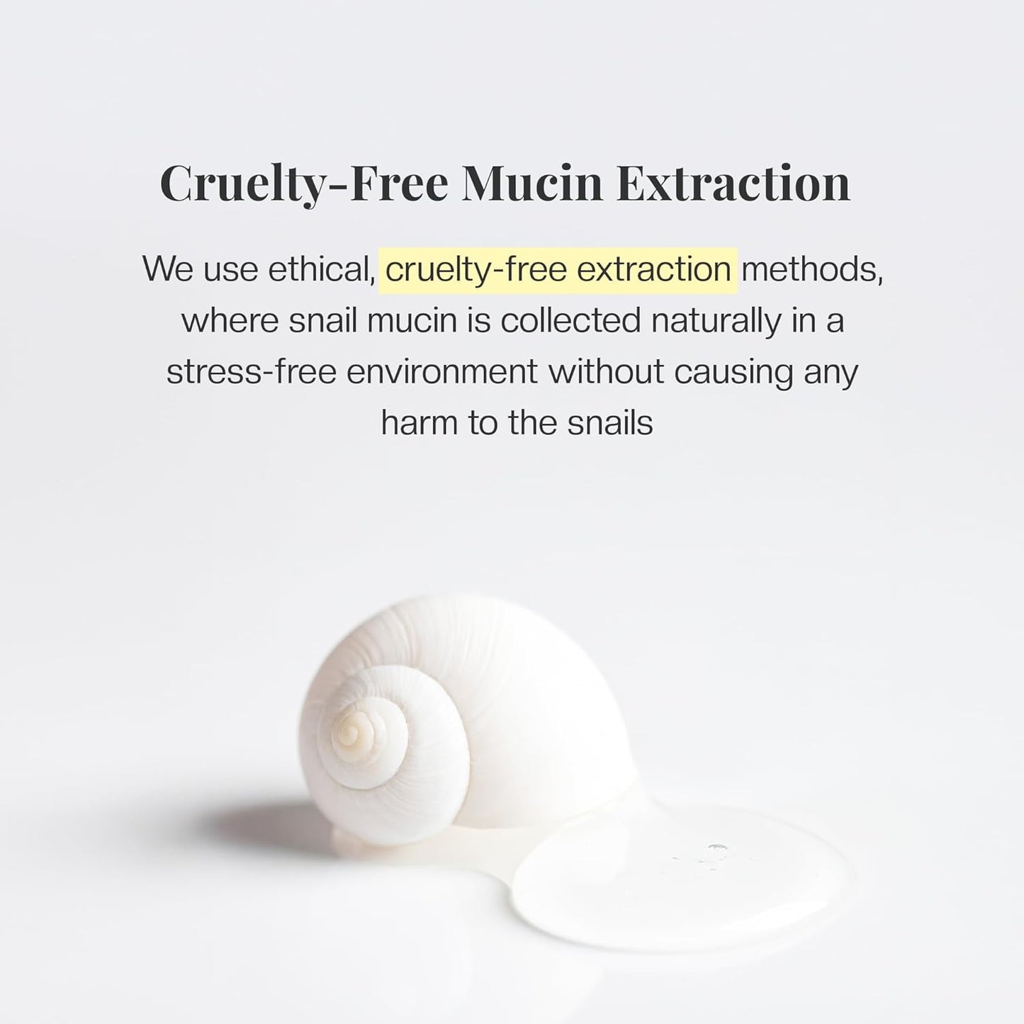 Mirabelle Korea Snail Miin Real Revolution Eye Cream 30g | Reduces Dark Circles, Wrinkles & Fine Lines | Korean Skincare | For Women & Men