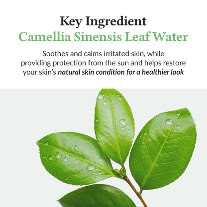 Dr.Althea Green Tea Fresh Sunscreen SPF 50+ PA++++ | Lightweight, Non-Greasy UV Protection | Vegan Korean Skincare | 45ml