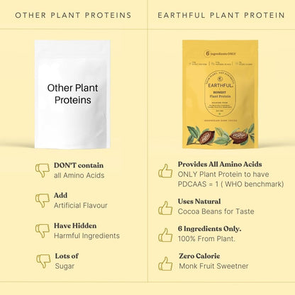 Earthful Honest Plant Protein | 24g Protein/Serving & 4.9g BCCAs | For Weight Management, Energy, Muscle Support & Recovery | Made with Pea & Brown Rice | Indonesian Cocoa - 504g