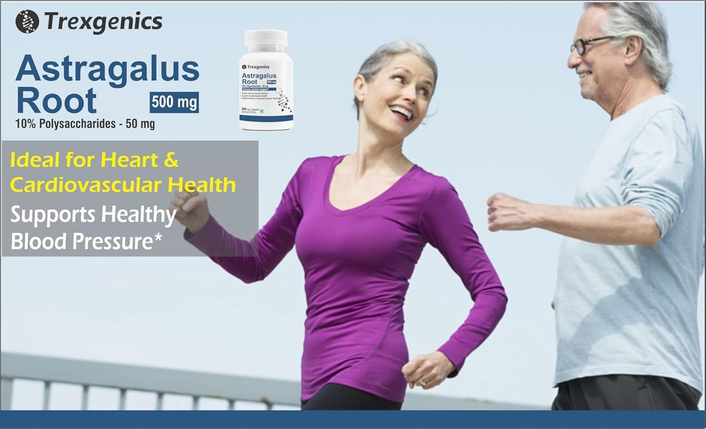 Trexgenics ASTRAGALUS 10% Polysaccharides 500 mg Immunity VEGAN & NON-GMO (60 Veg. Capsules) (Pack of 1)