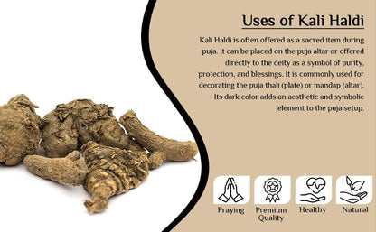 Namo Organics - Kali Haldi Turmeric Original - 150gm - Dried Black Turmeric | kali haldi ki ganth For Pooja | Raw and Natural