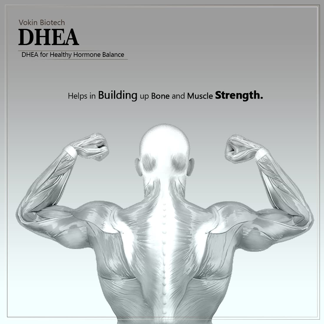 Vokin Biotech DHEA 50mg | Supports Healthy Mood | 90 Capsules