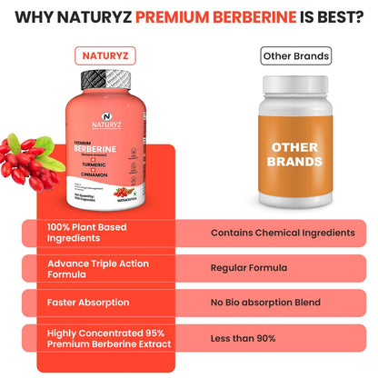 NATURYZ Premium Berberine + Cinnamon + Turmeric Weight Loss Supplement for Women | Supports PCOS & Hormonal Balance | Regulates Blood Sugar & Cravings | Plant-Based, Vegetarian â€“ 60 Capsules