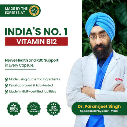 Vlado's Himalayan Organics Plant Based Vitamin B12 Supplement | B1,B2,B3,B5,B6,B7,B9,Moringa| Boost Energy Level | For Memory, Brain, Heart & Nervous System Support | B12 supplement for Men & Women - 120 Veg Capsules